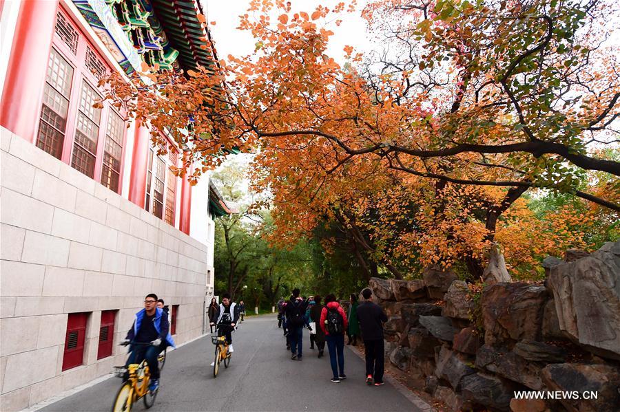dai hoc bac kinh