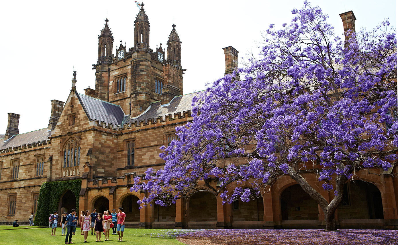 dai hoc sydney noi nhan tai