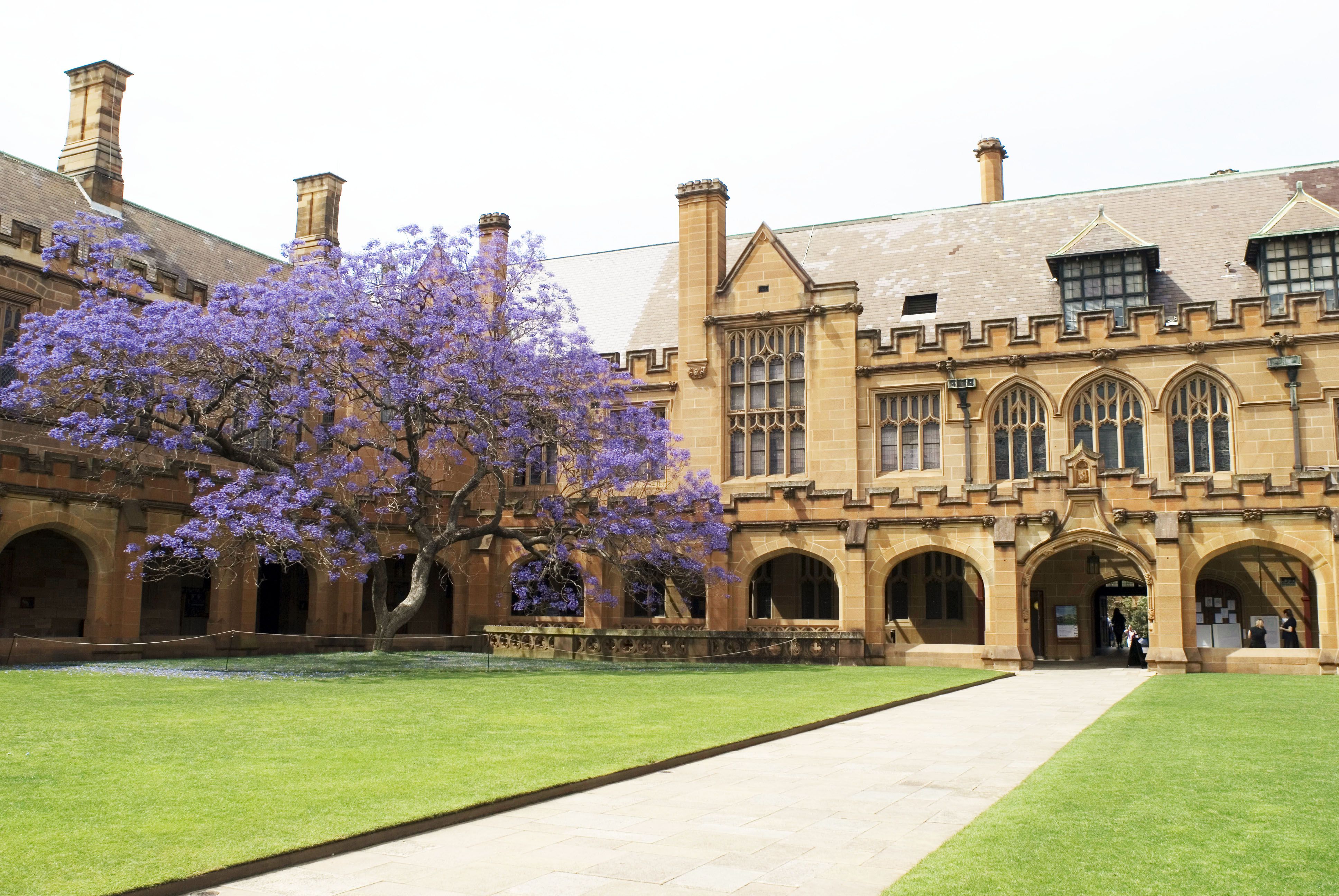 dai hoc sydney noi nhan tai