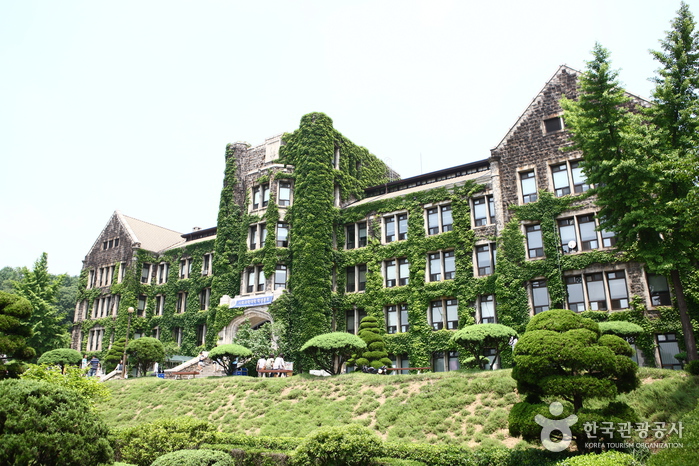dai hoc yonsei