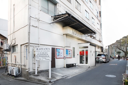 truong nhat ngu aoyama