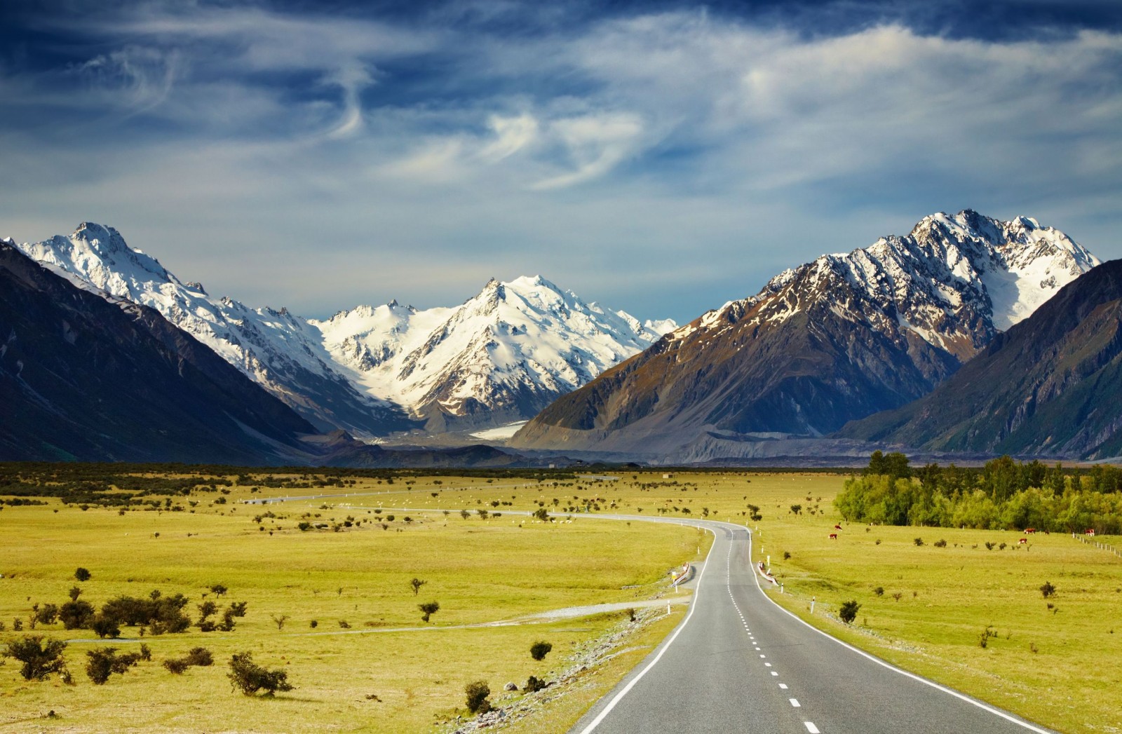nhung dieu can biet ve hoc bong chinh phu new zealand
