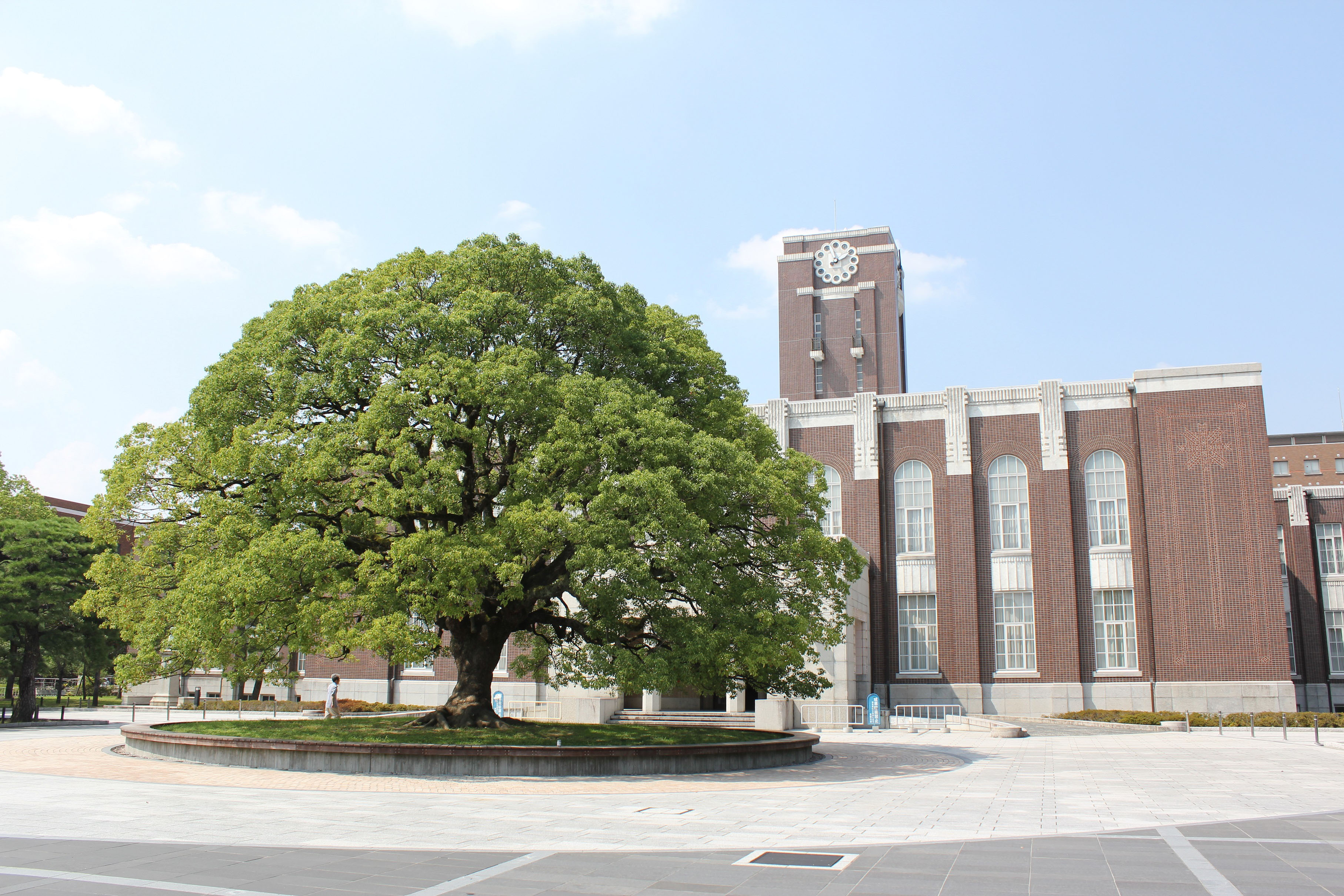 so sanh giua dai hoc tokyo va dai hoc kyoto