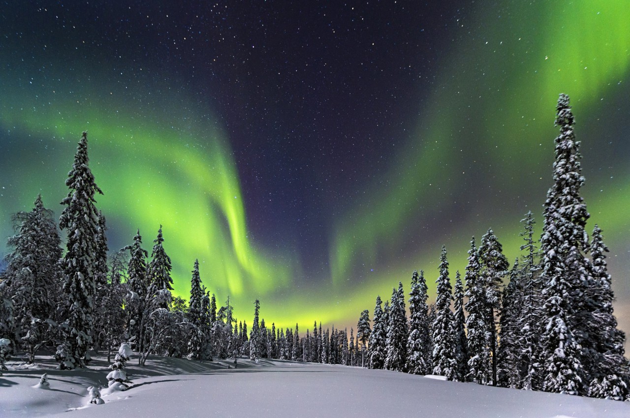 truong dai hoc khoa hoc ung dung lapland
